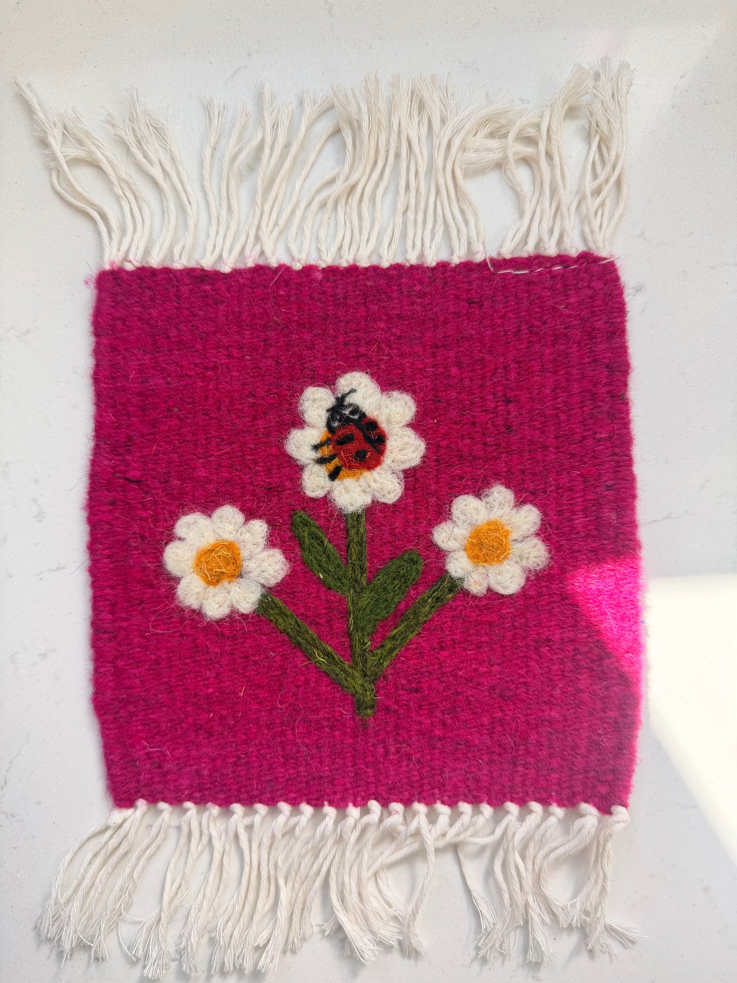 Wool coaster lady bug